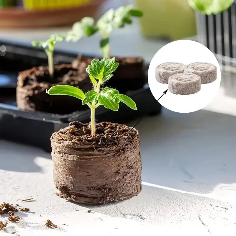 50/10pcs Planting Seedling Block Starter Plugs Nutrient Compressed Peat Block Media Cubes Nursery Pot Greenhouse Garden Supplies