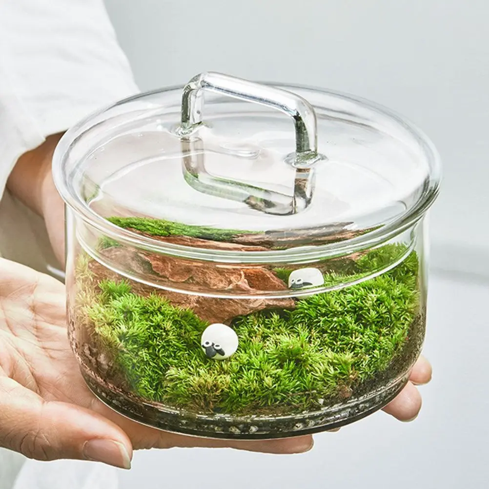 

Набор: Экологическая бутылка с мхом, контейнер для микроландшафта, ваза для цветов, декор для дома, настольный террариум, стеклянная бутылка