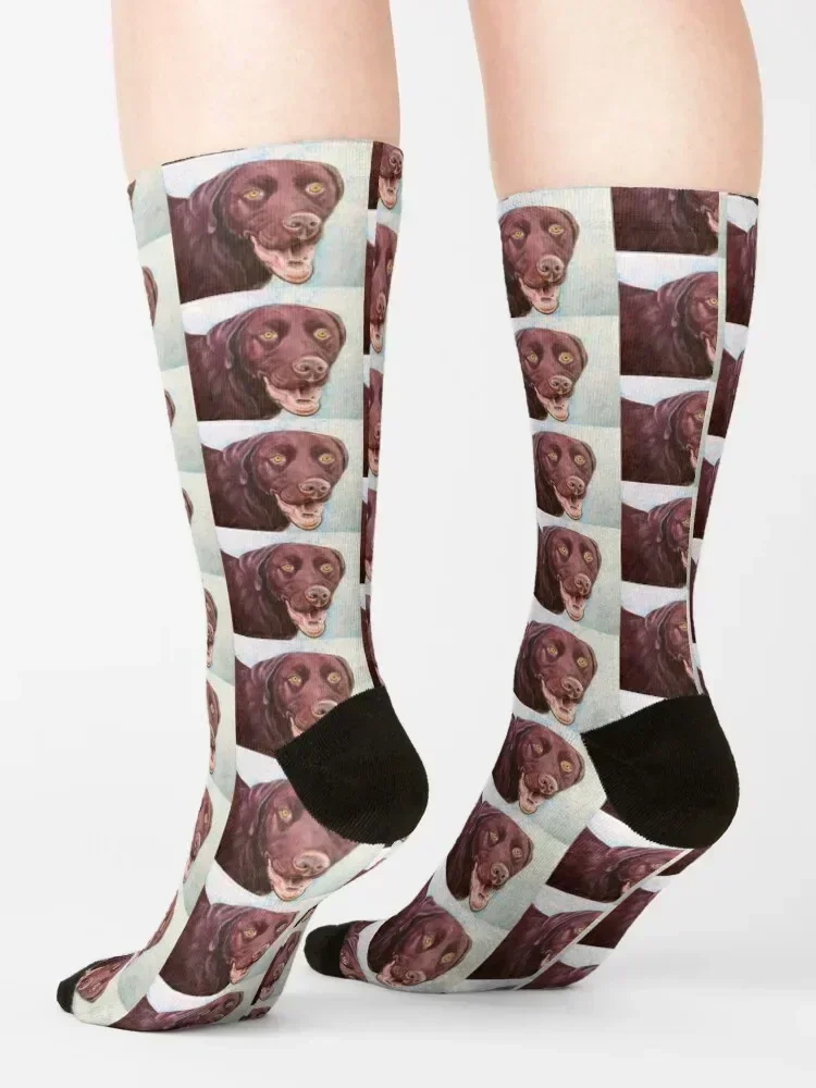 Chocolate Lab Socks cotton Stockings floor christmass gift Luxury Woman Socks Men's