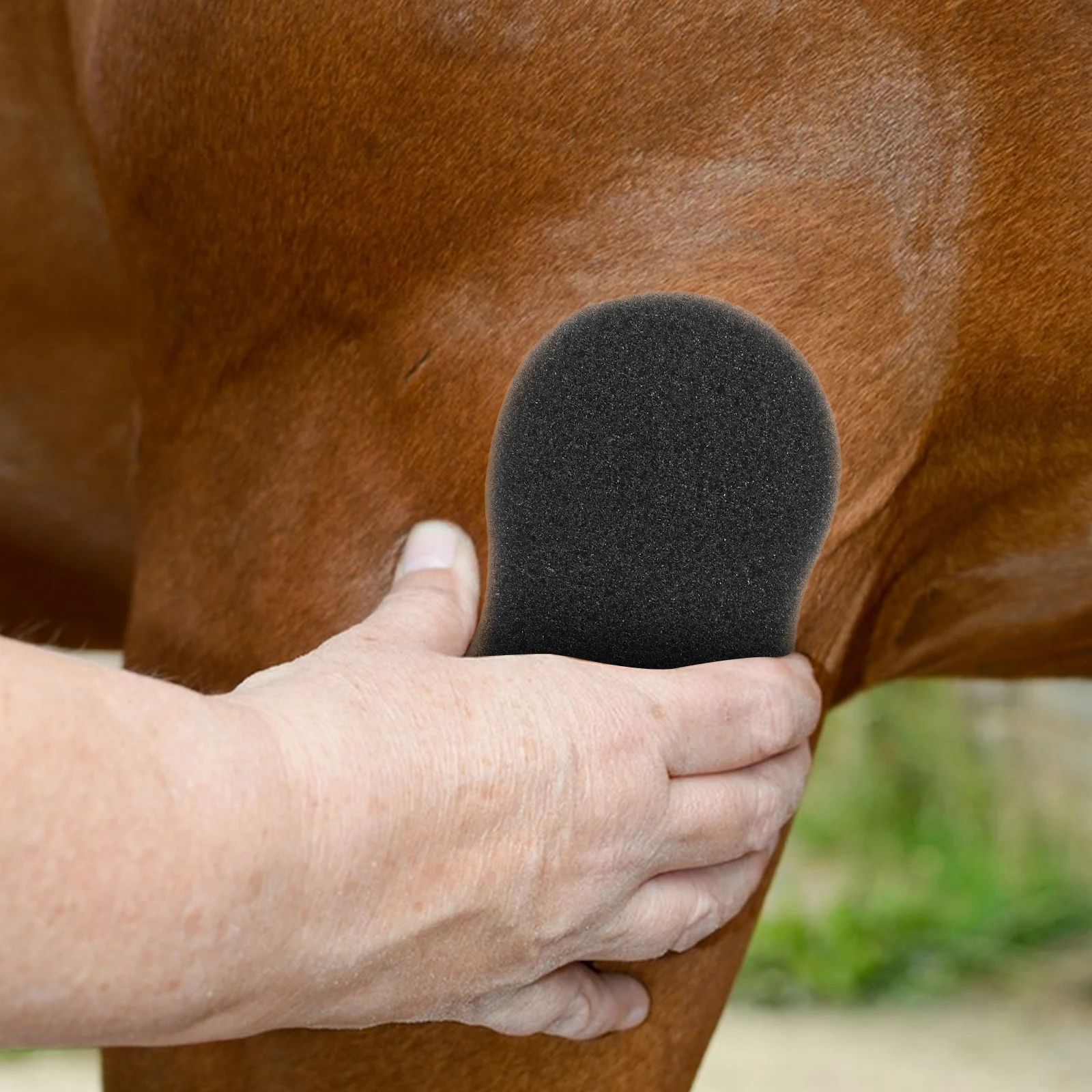 5개입 말 목줄 목욕 도구 그루밍 청소 스펀지 대형 부드럽고 오래 지속되는