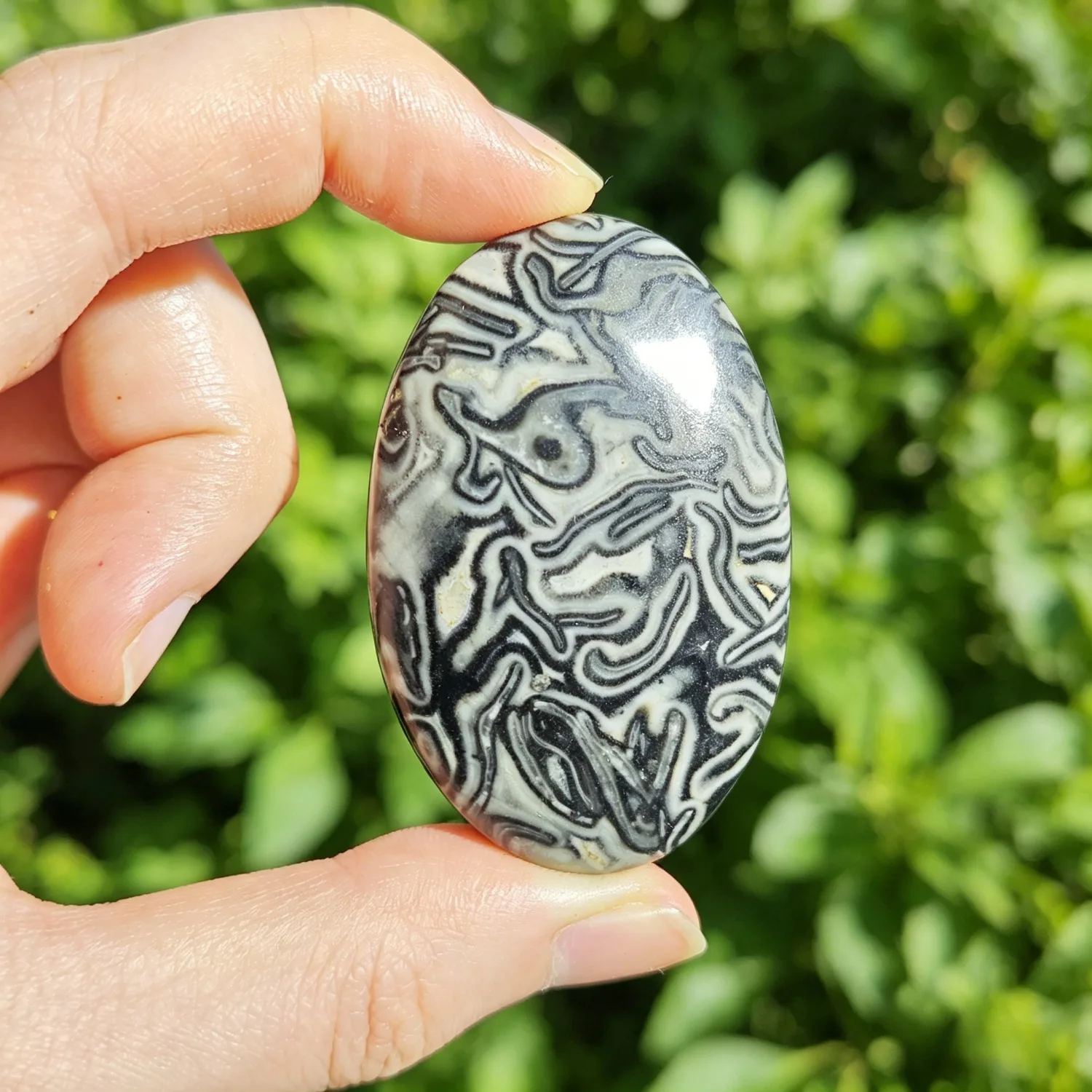 Natural Black Crazy Agate Palm Stone, Natural Polished Worry Stone, Healing Crystal Mineral, Home Decor Meditation Ornament Gift