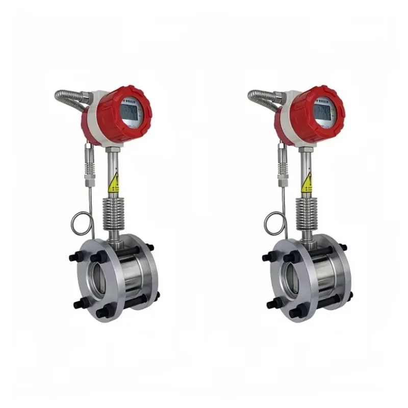 Customizable Flow Meter for Gas LPG and Natural Gas RS485 Temperature Compensation OEM Support