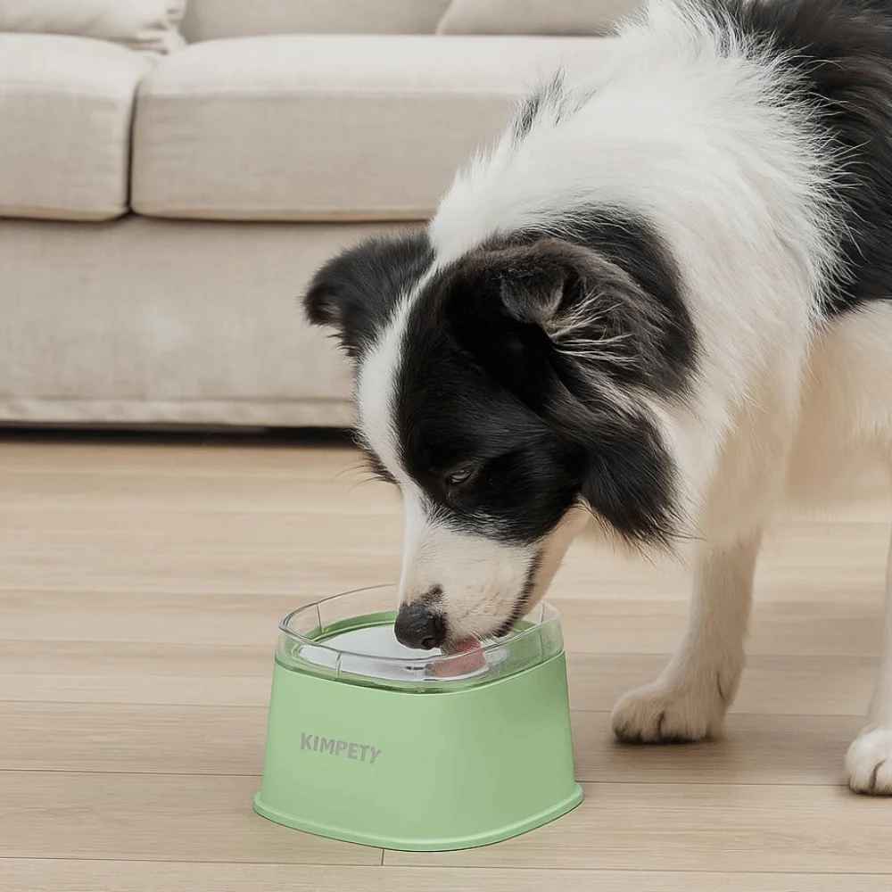 

Non-Wetting Mouth Pet Floating Bowl Anti-Tip Spill Proof Pet Water Bowl 2000ML Large Capacity Pet Drinking Dispenser