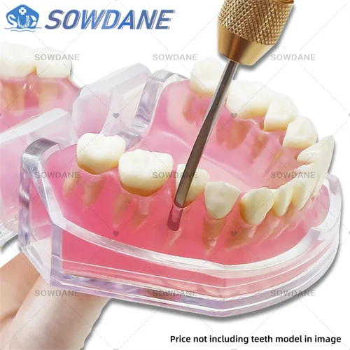 Imagen 2 del producto Periotomo Dental flexible reemplazable, juego de extracción de dientes eléctricos, Extractor de dientes, punta de titanio, herramienta Periodontal Dental Flexible