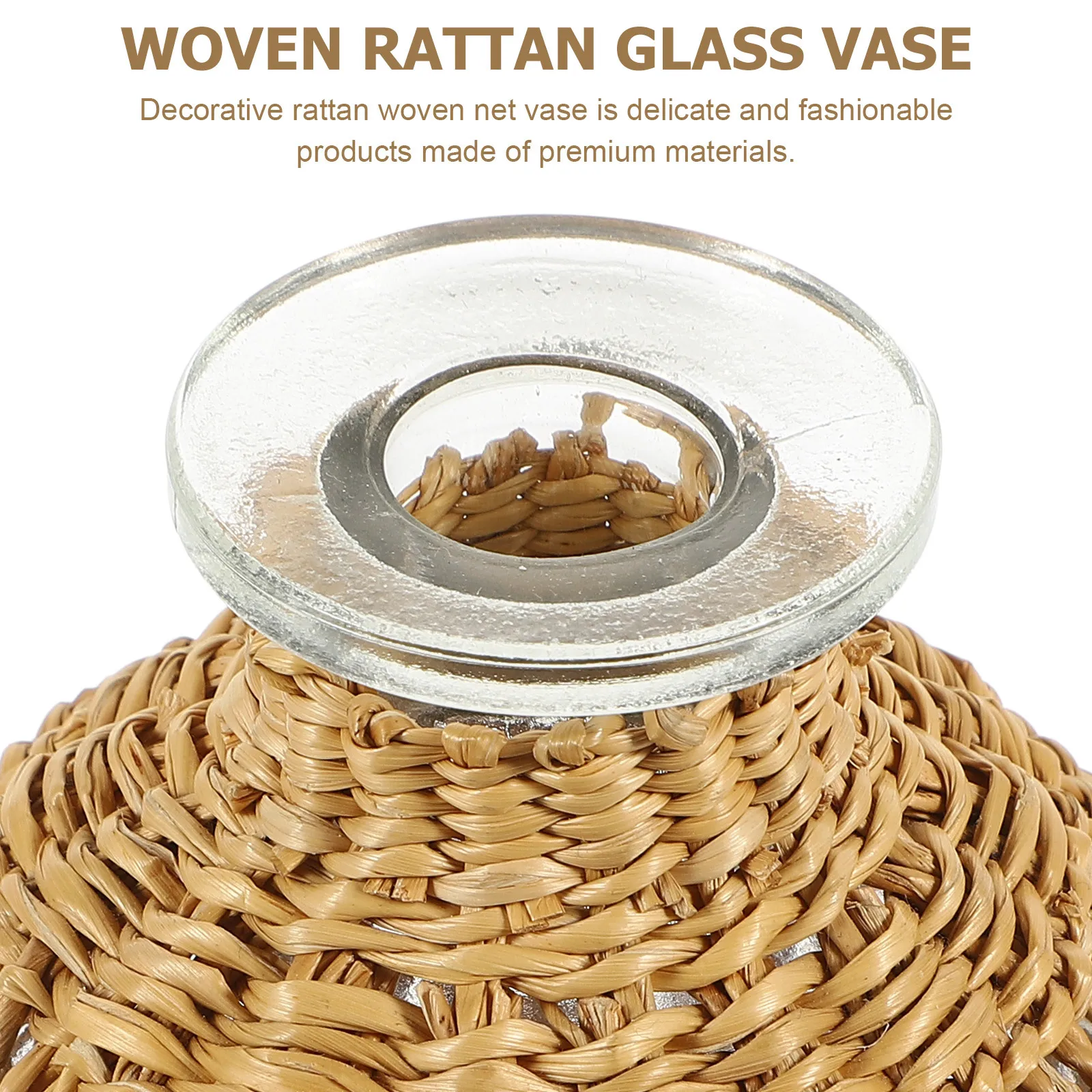 

Woven Rattan Glass Vase Compact Size Rustic Rope Net Decorative Plant Vase Home Dried Flowers Arrangement Desktop Decor