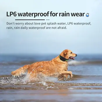 10 best sales קולר נביחות כלבים - №7