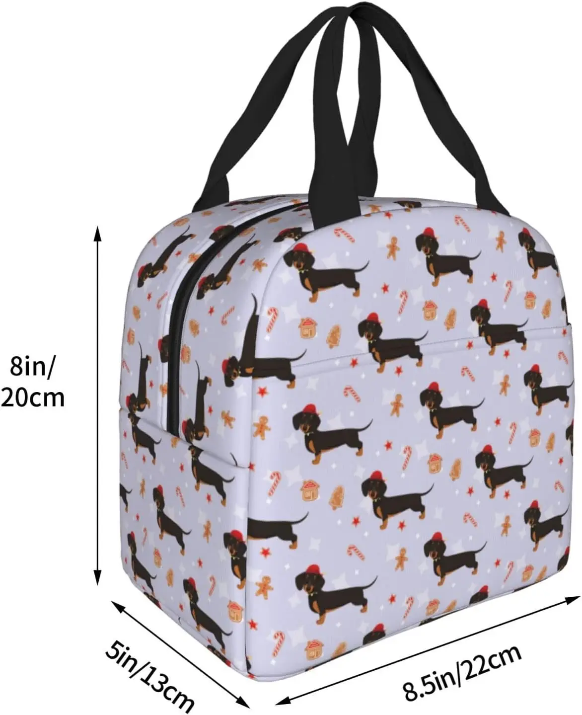 Lunch Box Lunch Bag for Women Men Adult, Dachshund Dog Puppy Insulated Lunch Bag Cooler Bag, Leakproof Reusable Large