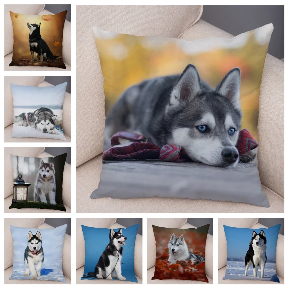 Pet Animal Sofa Cushion Cover Cute Siberian Husky Pillowcase Decorative Dog Print45x45cm 18x18Inch