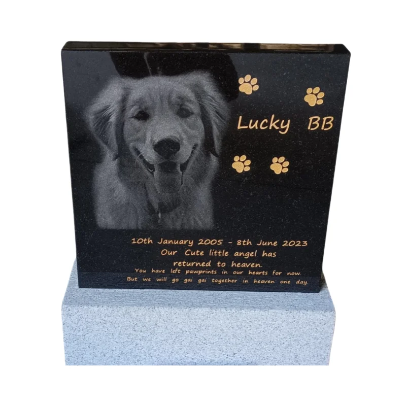 

Customization Granite Pet Grave Funeral Monuments Black Tombstones and Monumental Engraving Funéraire Slab Plate in Stone