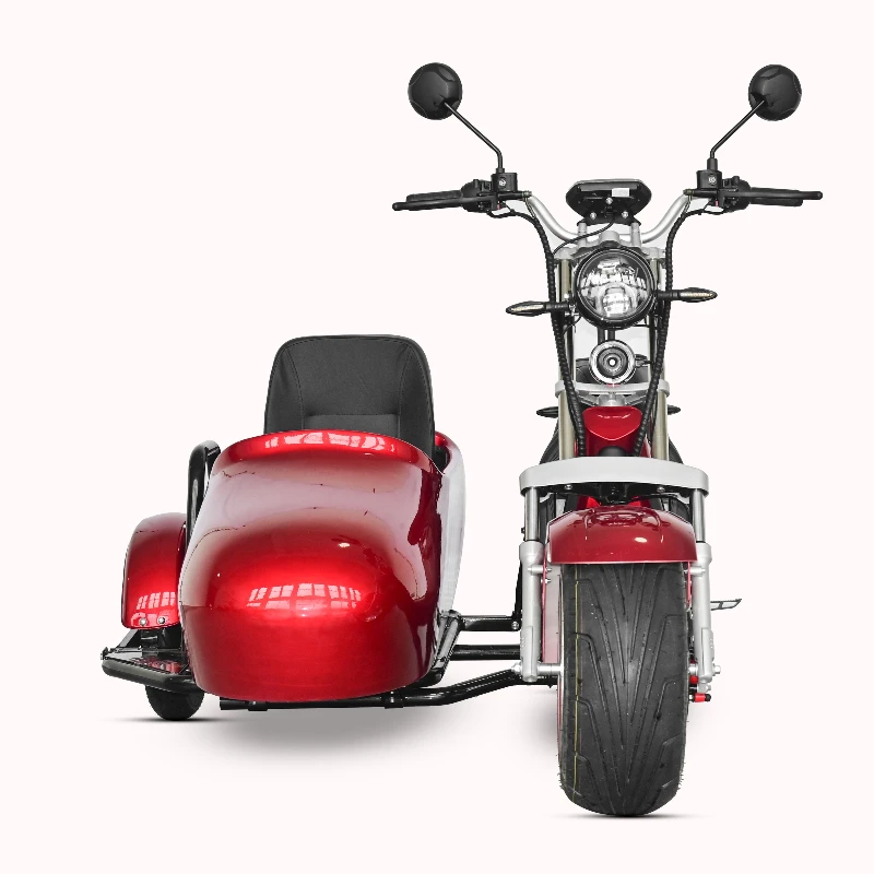 

Electric Motorcycle Powerful 3000 Watt Electric Scooter Urban Coco Adult Passenger Seat Pet Dog