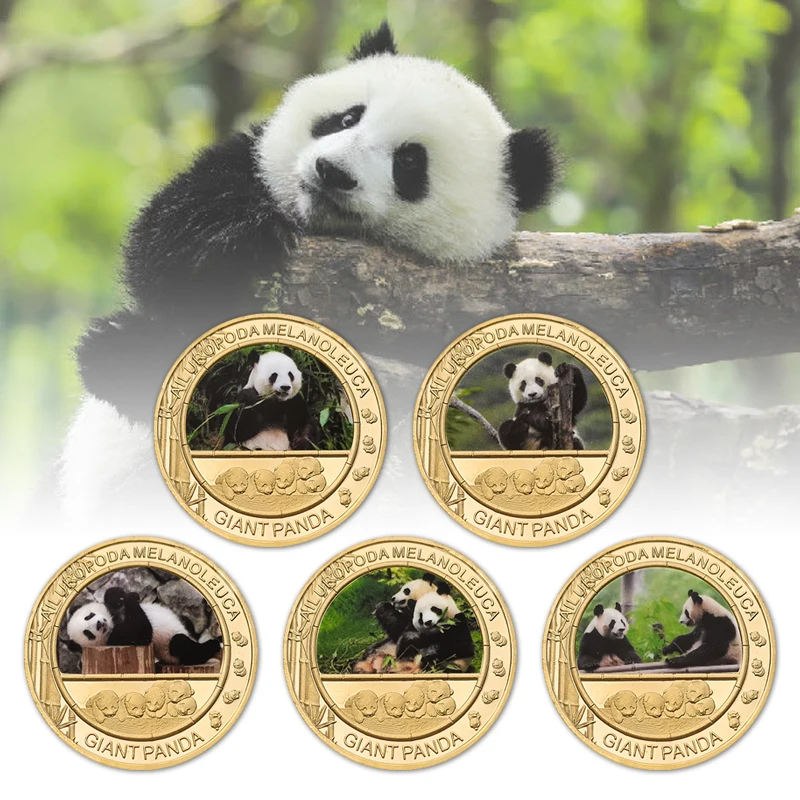 China's National Treasure Panda Gold Plated Commemorative Coin Giant Panda Challenge Coins Business Souvenir Gift for Collection