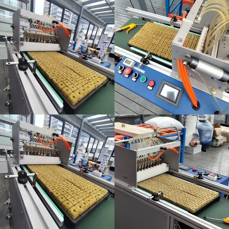 SFW  Certificate Efficient Automatic Seedling Machine for Big Farm Seeds Planting