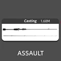 ASS-168CA