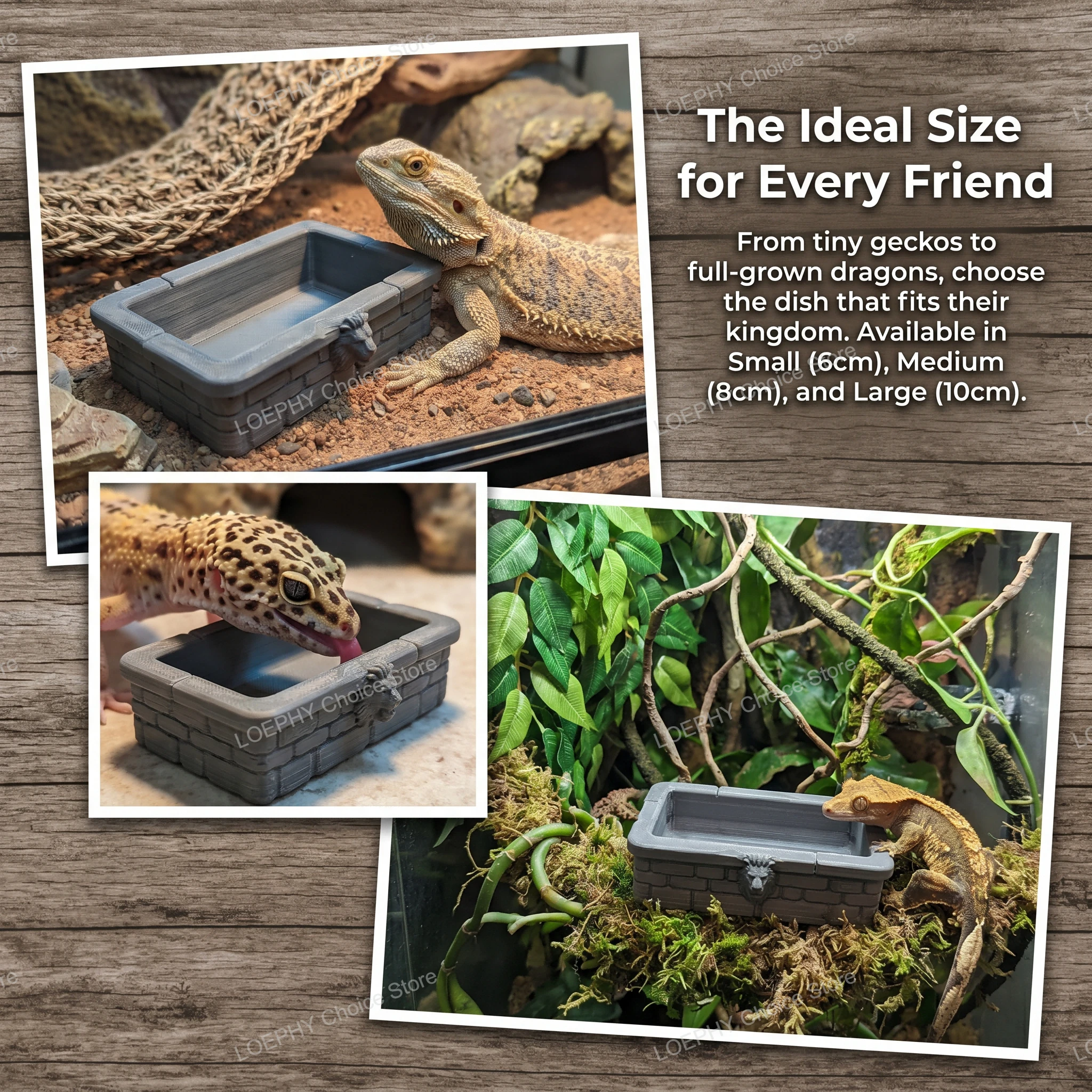 Mangkuk Air Reptil Bentuk Kepa - Water Dish Reptile ulasan dan harga