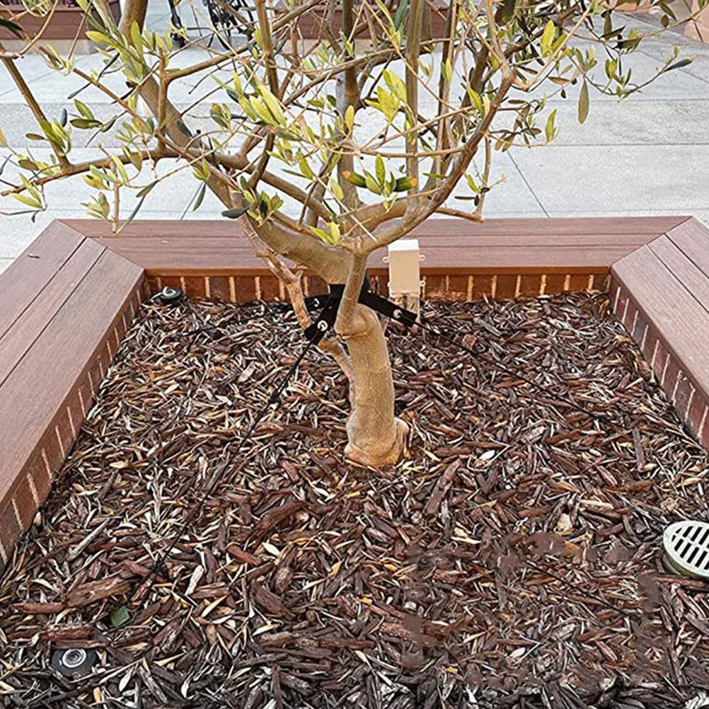 8 sangles de fixation d'arbres en nylon, robustes et durables, pour le soutien et le redressement des jeunes arbres, anti-vent