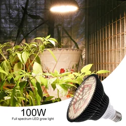 Led Grow Light Bulb Samsung Beads Plant lights E27 Full Spectrum Phytolamp for Plants Greenhouse Growtent Growbox
