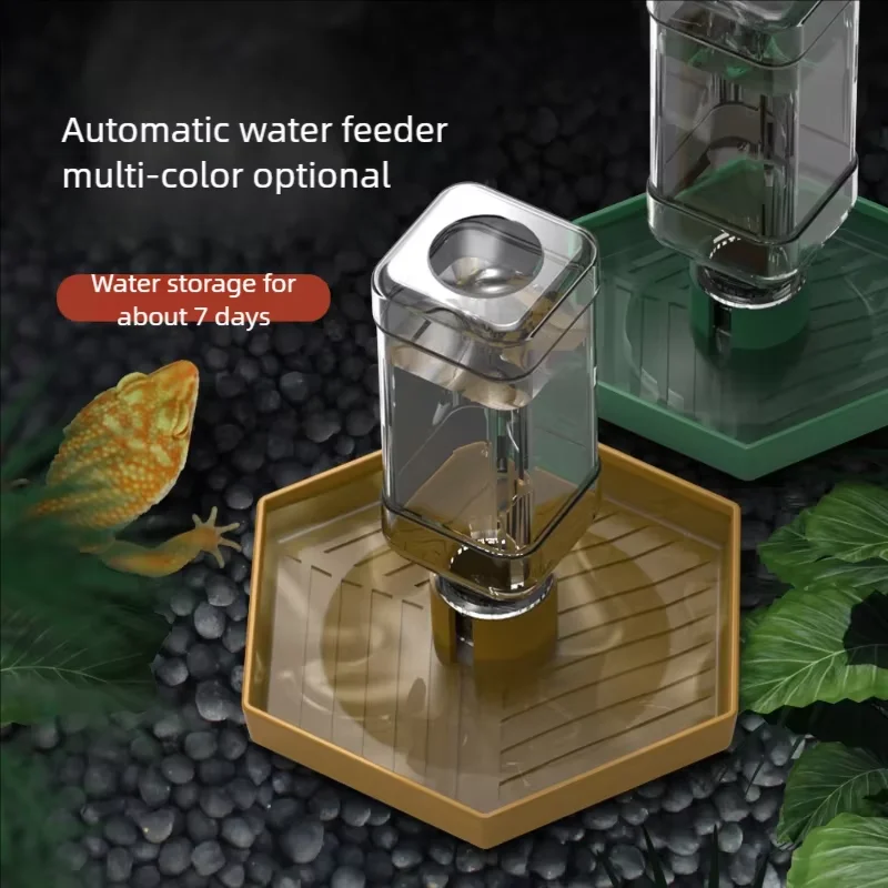 

Crawling pet land turtle, half water turtle, lizard, yellow edged reptile, feeding basin, water basin, avoiding automatic water
