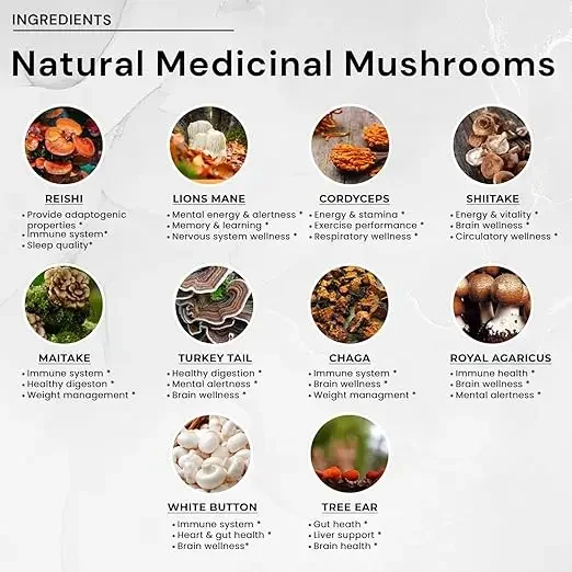 Mushroom Puzzle Brain Supplement - Lion Mane, Ganoderma Lucidum, And Cordyceps Sinensis -10 Mushroom Complex