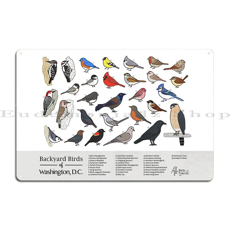 Washington D C Backyard Birds Of Washington D C Field Guide Metal Signs Party Personalized Wall Mural Garage Tin Sign Poster