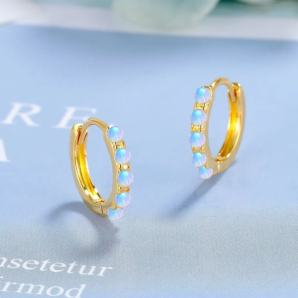 925 Sterling Silver Light Luxury Round Diamond Zircon Opal Earrings Wedding Anniversary Party Gift