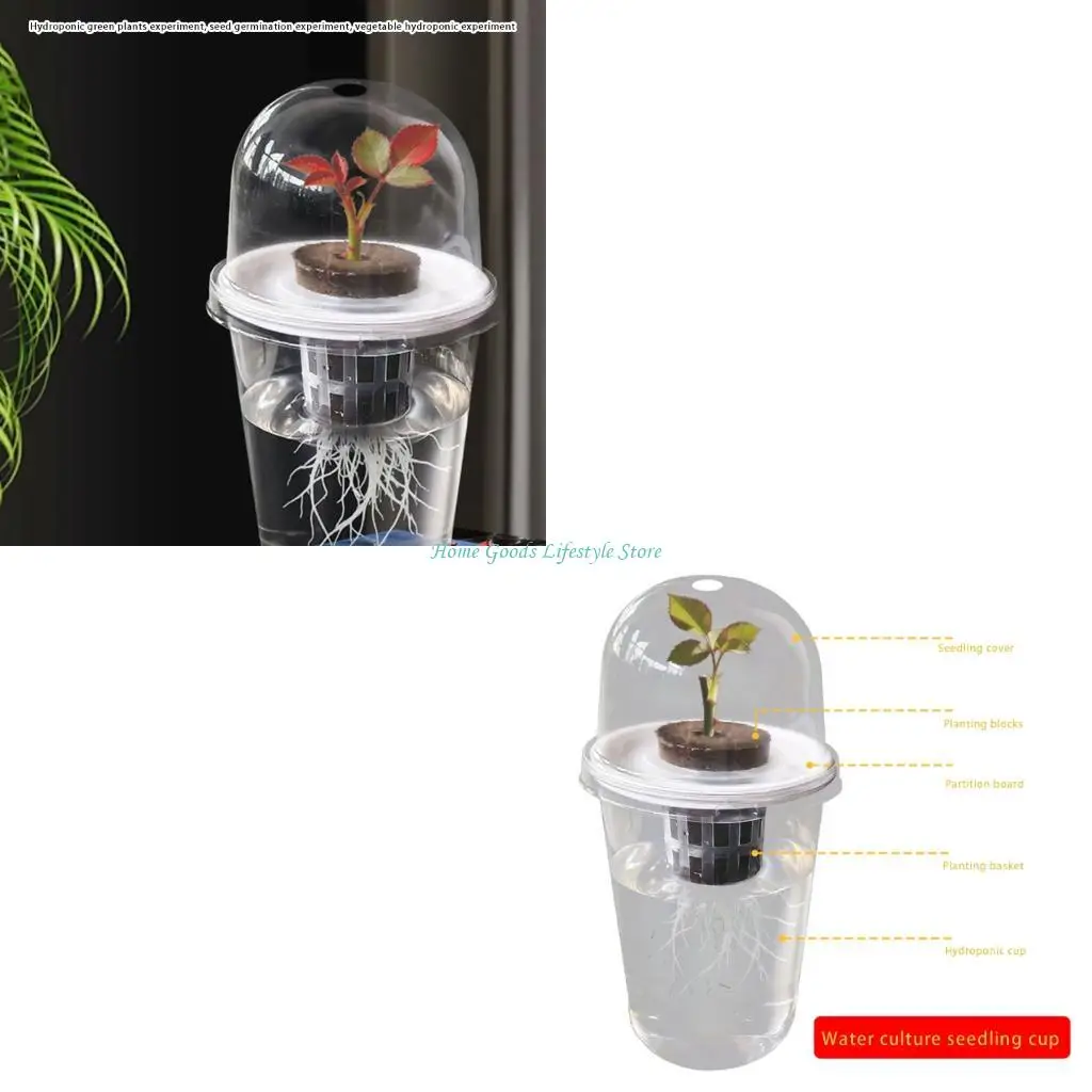 

E74E Гидропонные горшки для рассады, прозрачные чашки для просмотра корней, пластиковые стаканчики