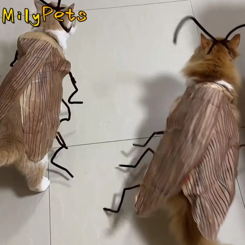

Creative Cat Cosplay Cockroach Costume Cartoon Cute Pet Clothes Material Kit Unfinished Funny Cat Transformation Costume