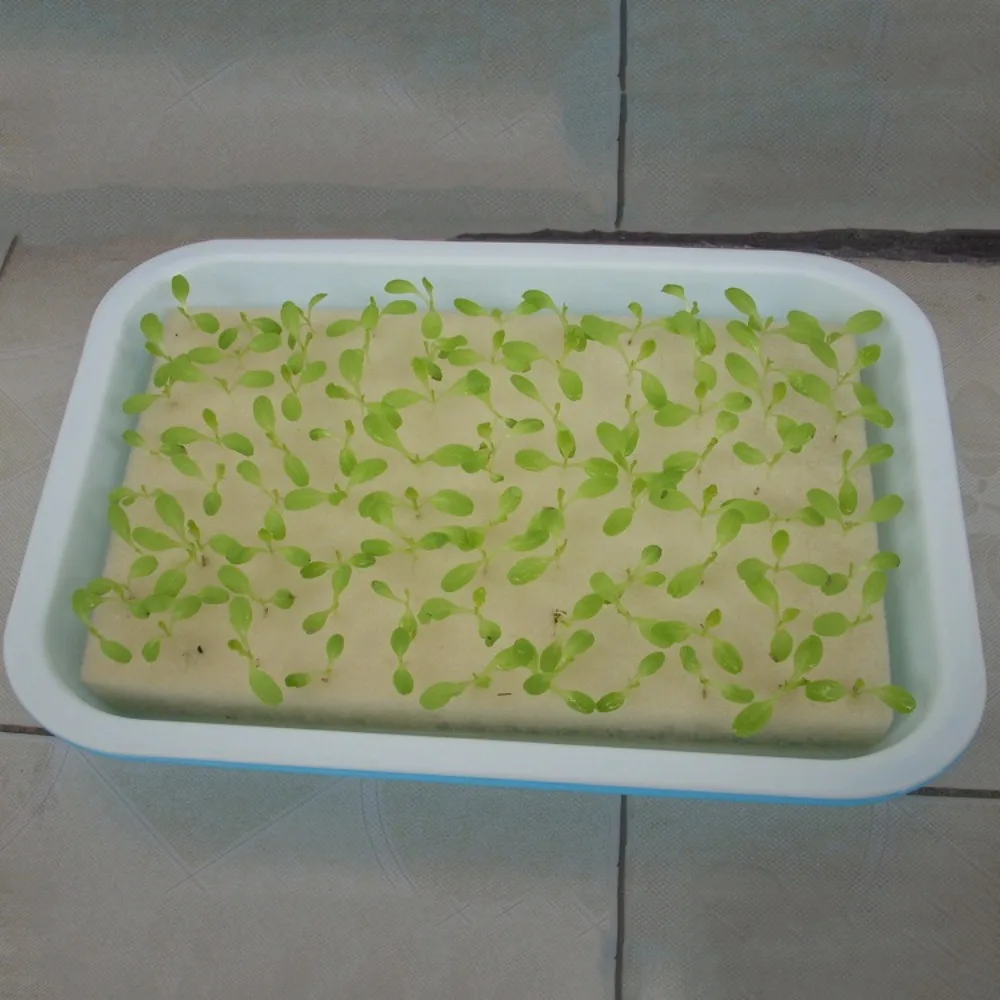 

30*20cm Hydroponic Vegetable Sponge Without Edges 96 Wells Nursery Sponge Grow Vegetable Superabsorbent Seedling Equipment