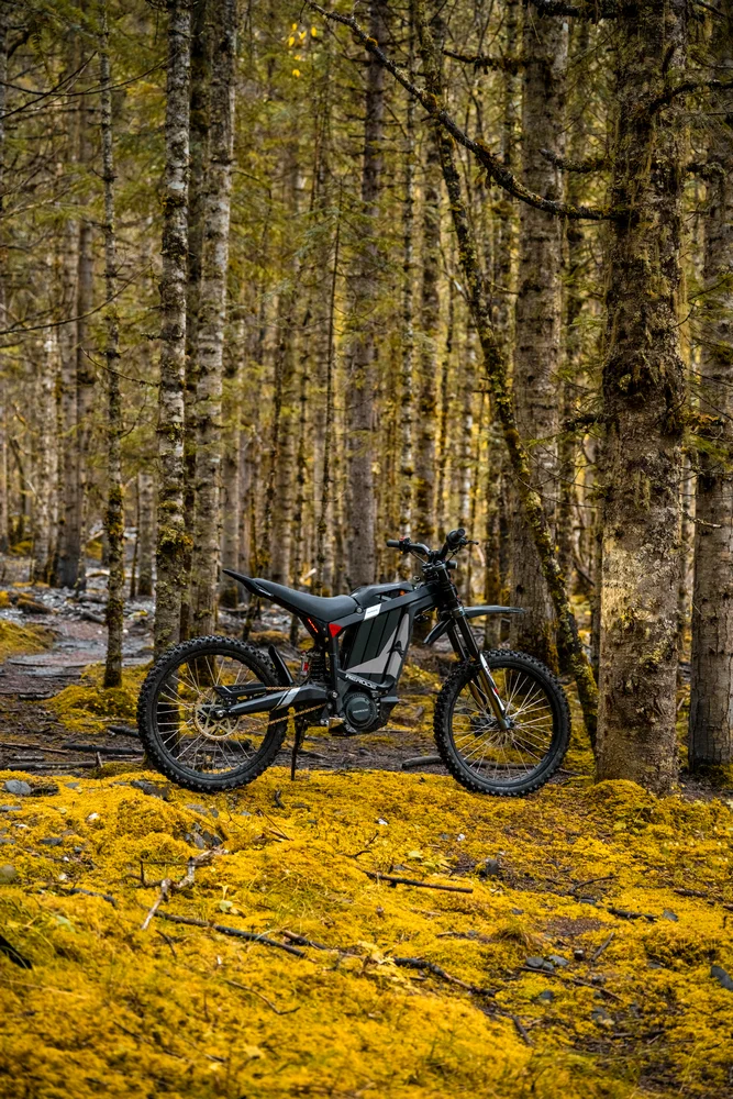 Rerode Bici da cross elettrica con motore medio sincrono a magnete permanente ad alta velocità 10000W Off Road Moto Mountain E Bike