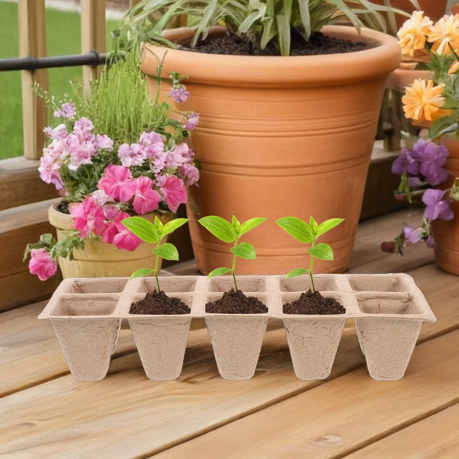Plastic Plant Nursery Pots Garden Indoor Seedling Halloween Christmas Mini Planter Indoor Gardening Herb Garden Home Garden