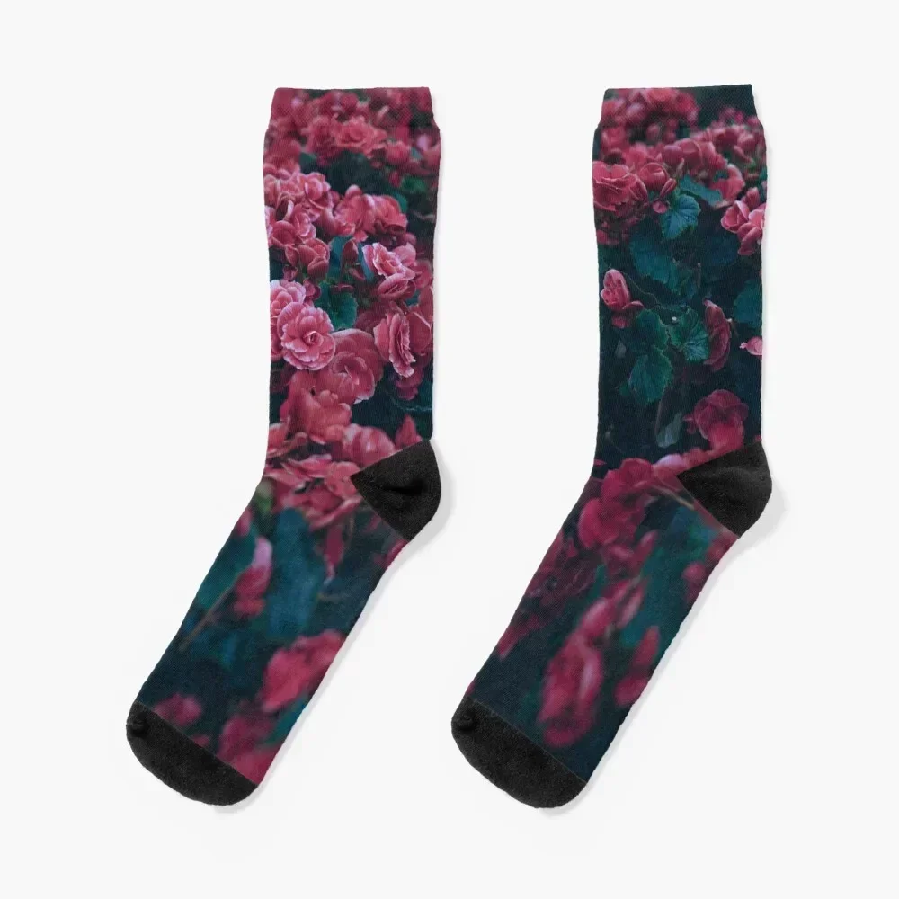 Red Roses Socks luxury halloween anti-slip cycling Socks For Girls Men's