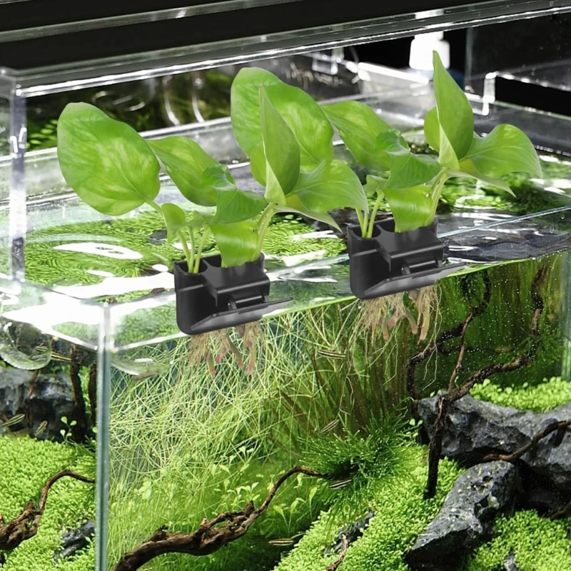 Porte-plante aquatique à 3 trous, cadre poisson, étagère pour Aquarium, culture plantes aquatiques, matière plastique pour