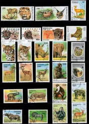 50Pcs/Lot African Wild Animals Stamp All Different From Many Countries NO Repeat Postage Stamps with Post Mark for Collecting