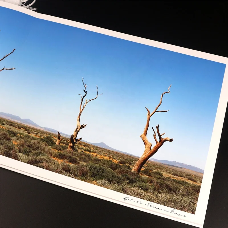 Servicio de impresión de libro de fotos de tapa dura personalizado, alta calidad