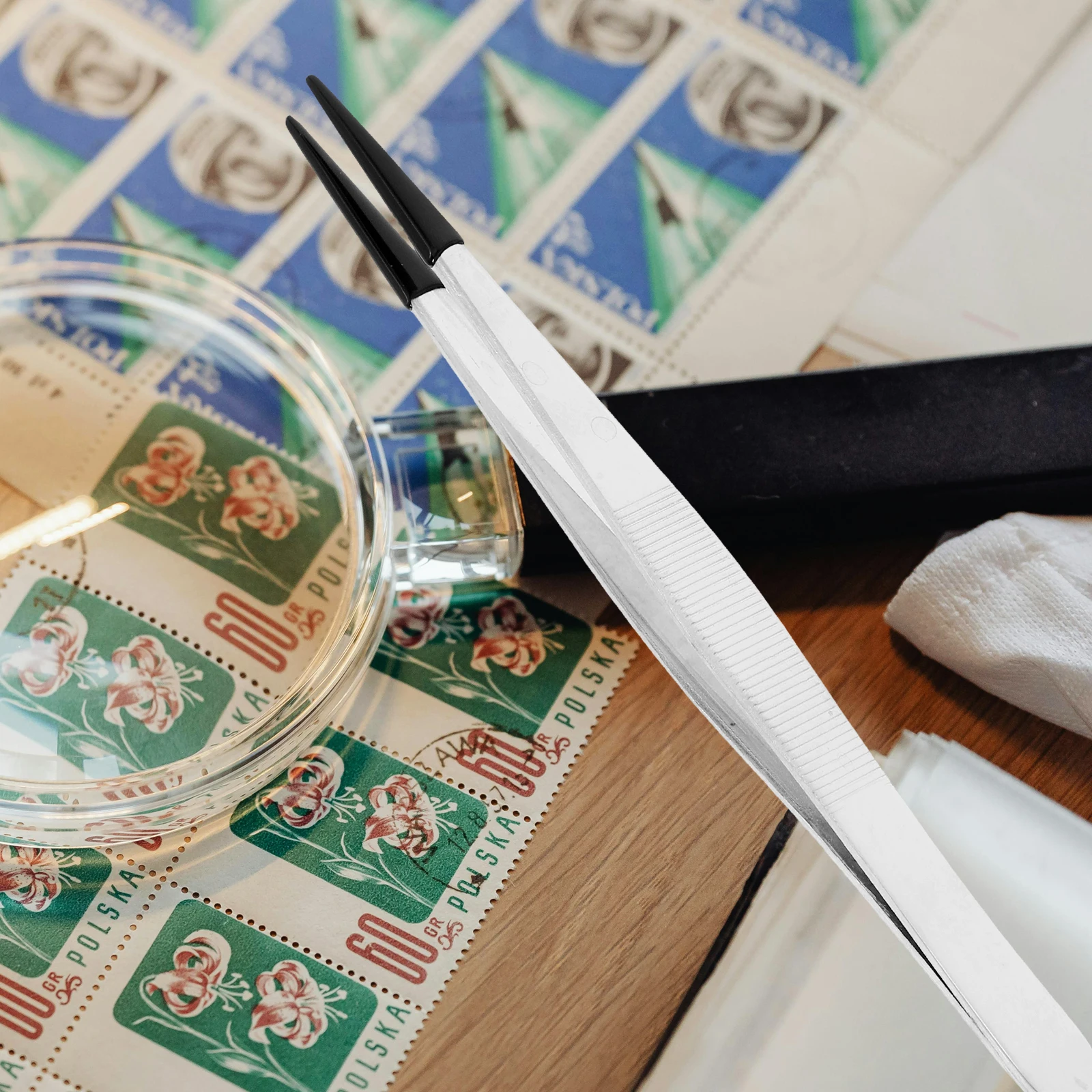 Pinzette in acciaio inossidabile Pinze artigianali lunghe per la raccolta di timbri per ciglia Scrapbook Fiori secchi Elettronica Hobby Precisione