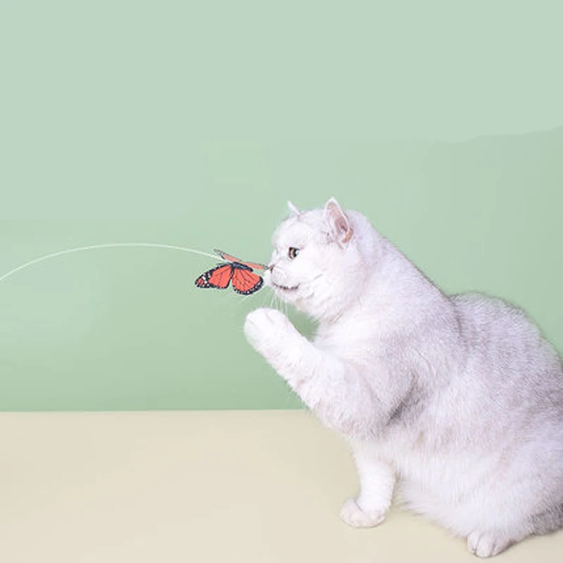 

Rotating funny cat butterfly Scratch Toy Dog Cat Intelligence Trainning Toy Electric flying butterfly around flower cat pet toy