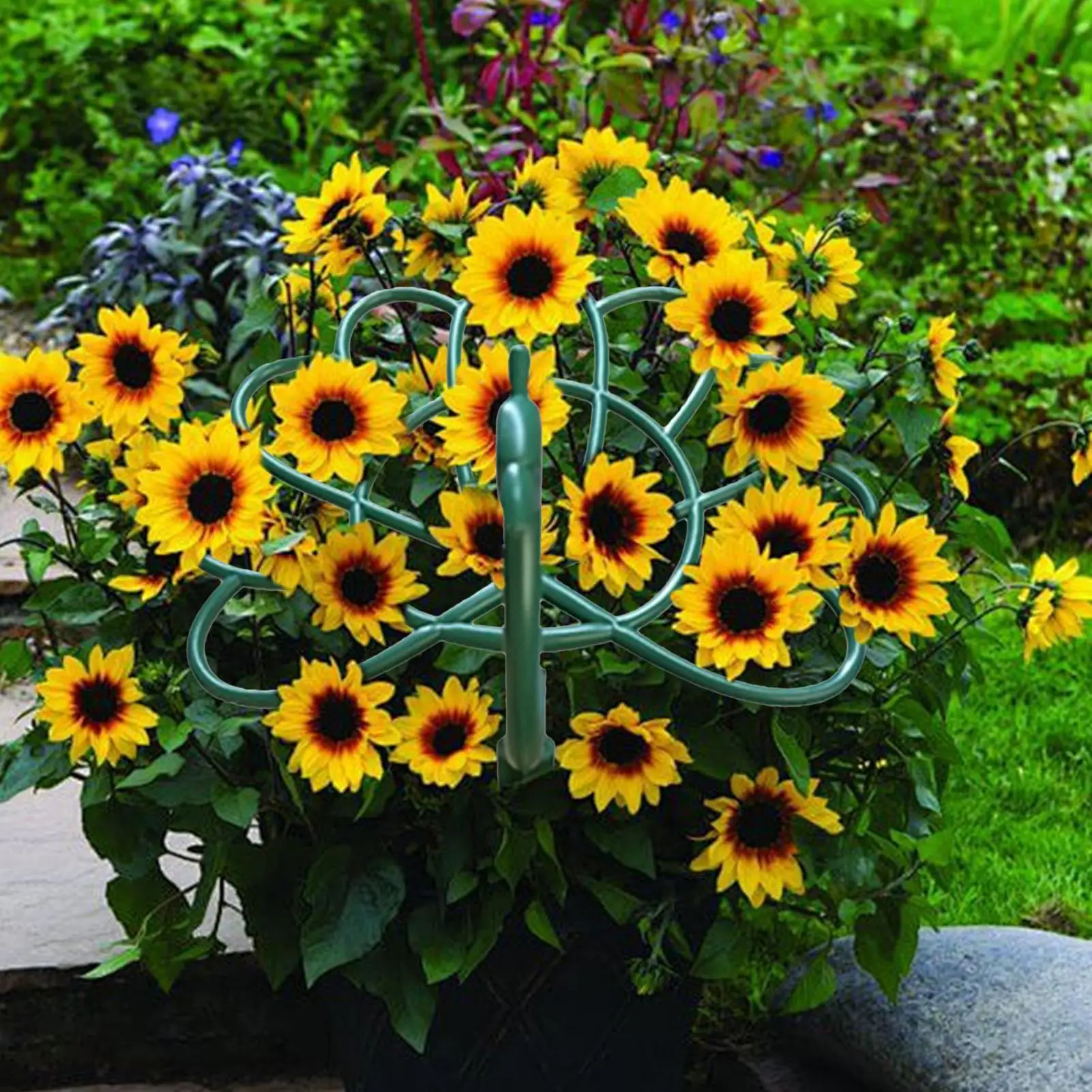 

3Pcs Garden Plant Support Stand Round Vine Climbing Rack circle Flower Plant Grow Trellis Frame Garden Decor