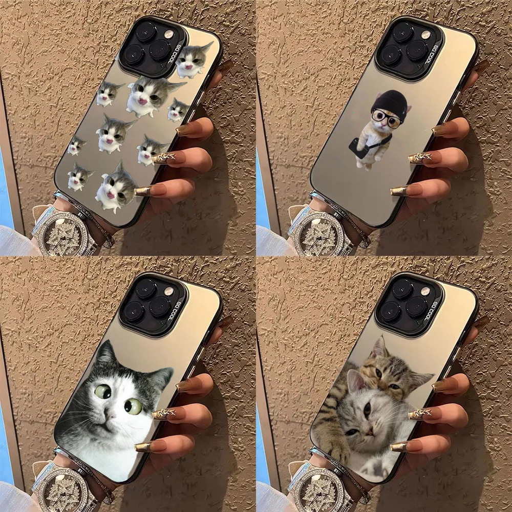 

Cute Funny Cat Phone Case Phone Case For iPhone 14 16 15 11 12 13 Pro Max Mini Plus Shockproof Cover