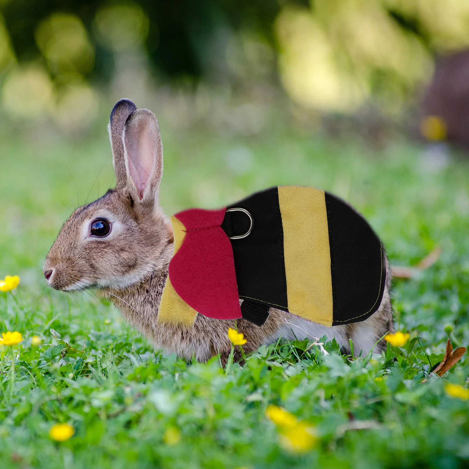 

1Set Rabbit Harness Leash Set Fashion Lovely Exquisite Sewing Easy on Off Suitable Indoor Outdoor Activities Pet Supplies