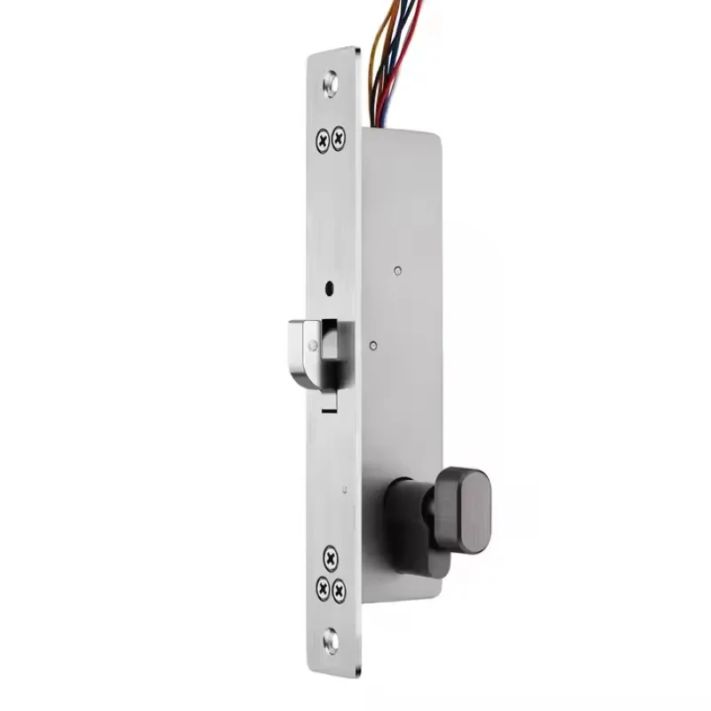 12VDC Fail Safe Electric Mortise Lock With Mechanical Key Cylinder Timer Delay for Sliding Door Access Control System