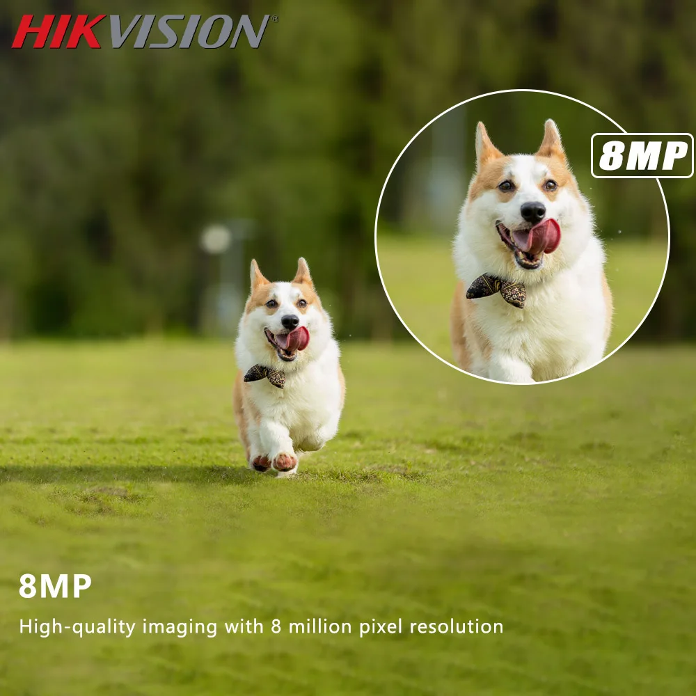 Hikvision TurnVu DS-2CD2687G2T-LZS (C) 4K Hurize IP Caméra Détection de Région Sécurité Protection IP67 IK10 Caméra de permission