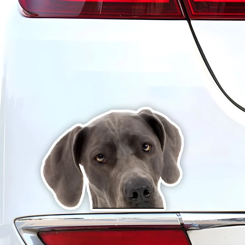 DK261#15x11cm Cool Great Dane Car Sticker Waterproof Vinyl Decal For Truck Motorcycle Scooter Auto Accessories