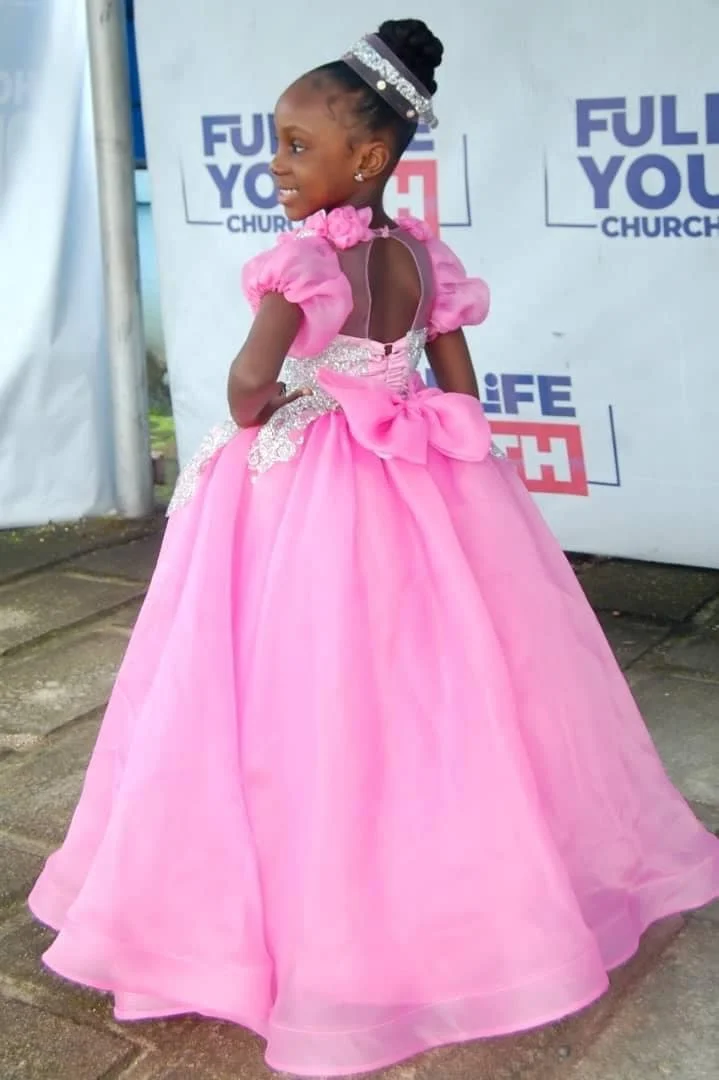 Princess Pink Girls Birthday Party Dress Customized Flower Girl Dresses Bow Back Queen Ball Gown for Photoshoot