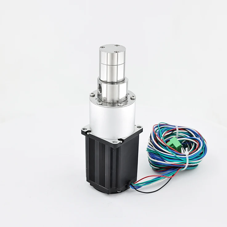 

Небольшой водяной масляный насос из нержавеющей стали, дозирующий микромагнитный привод, шестеренный насос для мороженого/кофе