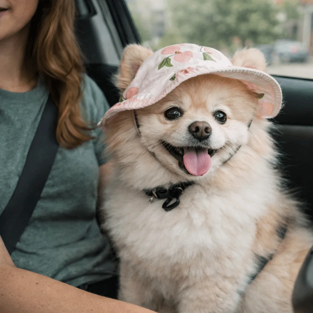 Breathable Pet Sun Hat with Ear Holes Adjustable Dog Sunscreen Hat Lightweight Fruit Print Pet Bucket Hat Pet Products