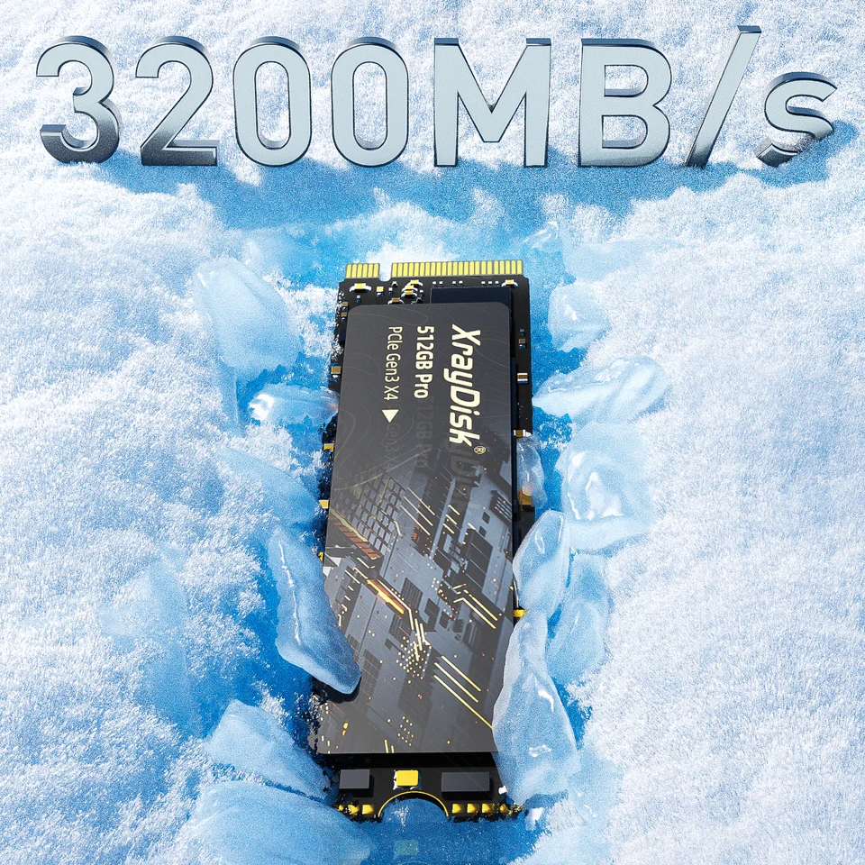Xraydisk M2 NVMe SSD High Speed 1TB 512GB M.2 PCIe NVME Ssd Solid