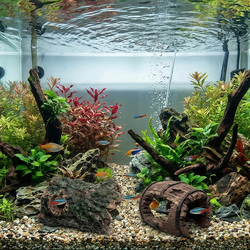 3 pièces de bois naturel enrac - Fish In Aquarium Picture avis et prix