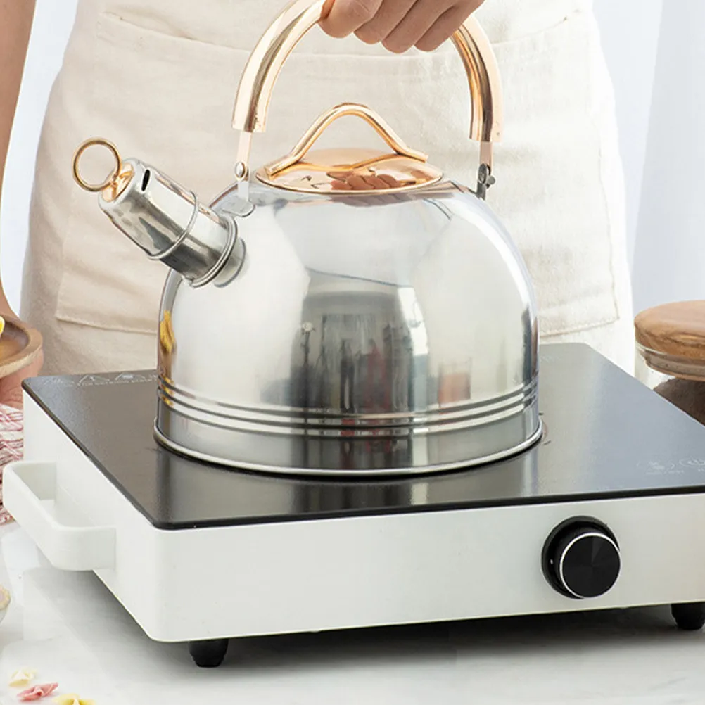 

Чайник из нержавеющей стали 3 л с функцией свистка для дома: для кипячения воды, приготовления кофе, глинтвейна. Бытовой чайник большой емкости.