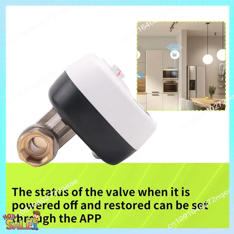 n08r-automation-linkage-valve-smart-water-vavle-for-dn15-app-wireless-control-timer-alarm-automation-linkage-valve-alexa-compari