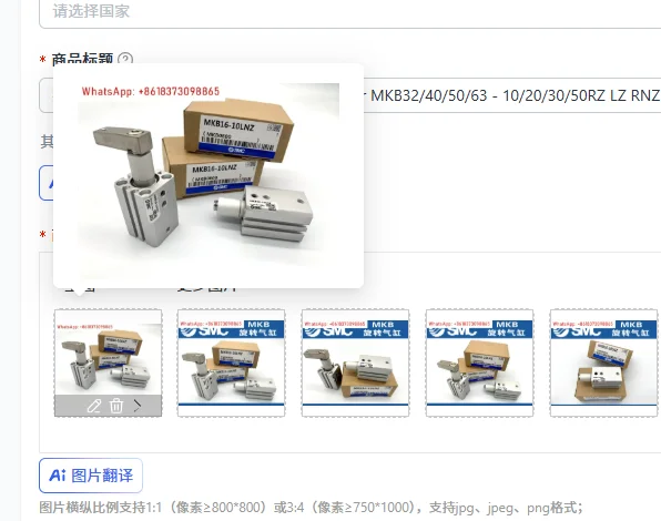 Smc Rotary Clamping…