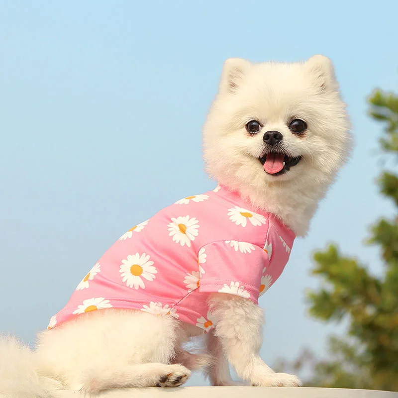 Pet Puppy T Shirt Vest Pet Clothes Spring and Summer New Style Travel Printed Short Sleeve Tshirt Clothes Small Medium Dogs